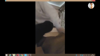 Раздетая в скайпе показала дойки и занялась мастурбацией