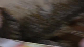 Два пацыка дрючат соседку