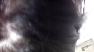 Познакомился в клубе и заснял от первого лица минетик прямиком в туалете