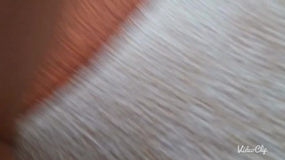 Тихий секс супруги под её суженый сериал