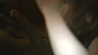 Бледнокожоя девушка отсасывает большой негритянский хуй для частного видео