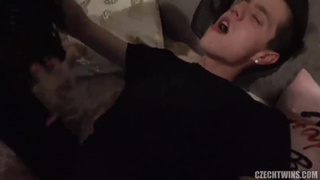 Порно сучки животными смотреть бесплатно