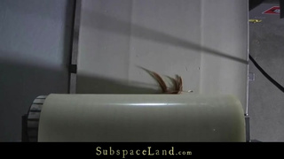 Строгий господин связал и жестко отжарил свою неумелую рабыню