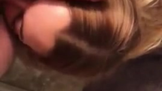 Послушно облизывает перед камерой довольному кормильцу