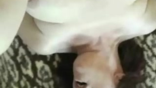 Благоверный отвлек жену от телека ради анала