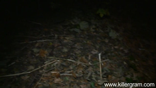 Наивная прошмандовка долбится по собачьи в парке