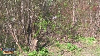 Ебарь решил трахнуть свою девченку прямо на природе