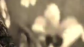 У дорогого есть особенность — снимать черно-белое порно видео и постоянно пересматривать