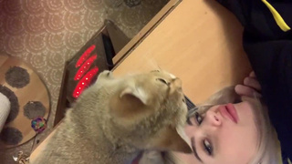 Неопытной геймер жарит в анал свою шикарную подружайку