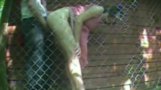 Ненасытный ебарь перепихнулся со страстной брюнеткой