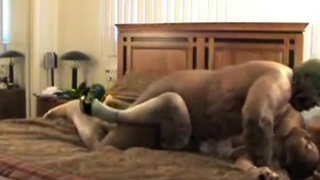 Похотливый самец отодрал свою полную подружайку на большой диване