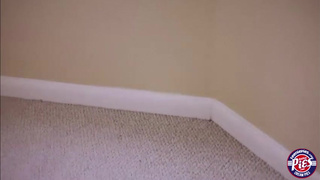 Упругая попка брюнетки сама напрашивается на конец