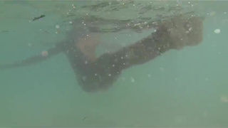 Сучки на диком пляже смотреть бесплатно