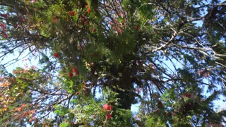 Кончил, а хулиганка без оргазма — дотрахаю, пока трястись не будет