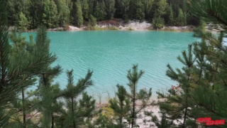 Незнакомка встала рачком у дерева и я понял, что никуда не опаздываю