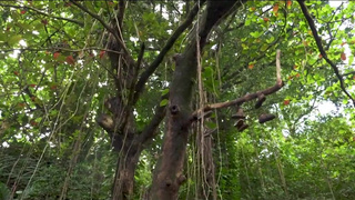 Соглашусь на анал из интереса — влезет ли такой пенис в мою попу?