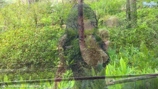 Сиси показала, в позе раком встала — теперь и ей хорошо, и я палку кинул