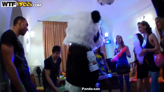 Нетрезвые телки на вечеринке шпилятся в групповушке с парнями