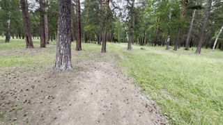 Хз, кто это, но с такими буферами я готов прямо в лесу её трахнуть