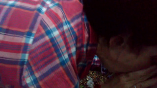 Старенькая русская ночная бабочка теребонькает и посасывает клиенту в лесу